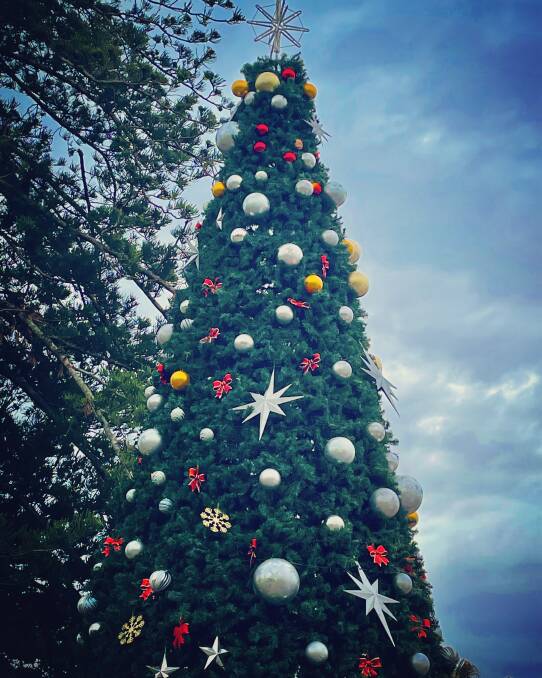 The Town Square Christmas tree in Port Macquarie is ready to light up for the festive season.