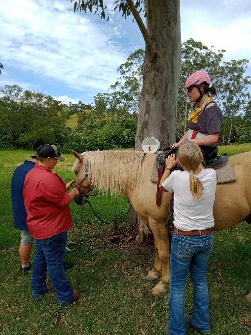 Horses Inspiring Humans, located at Hyndmans Creek near Port Macquarie, was started by Debra and Rodney O'Malley in 2016.
