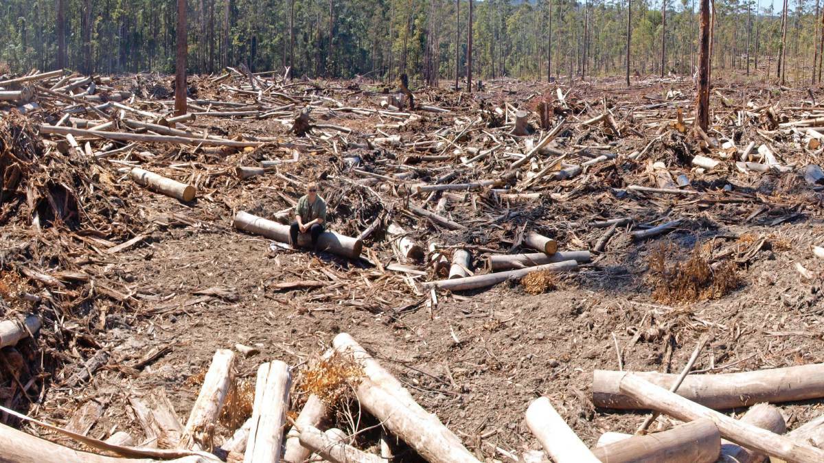 Climate Change group to dissect land clearing laws
