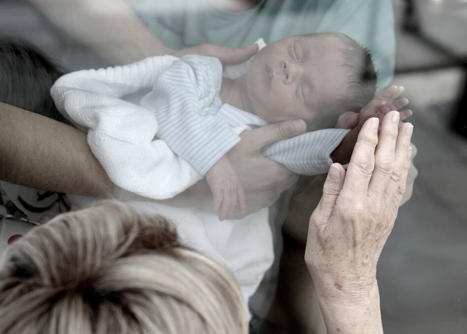 Baby Theo's grandparents yearn for a touch of their new grandson. Photo: Sarah King.