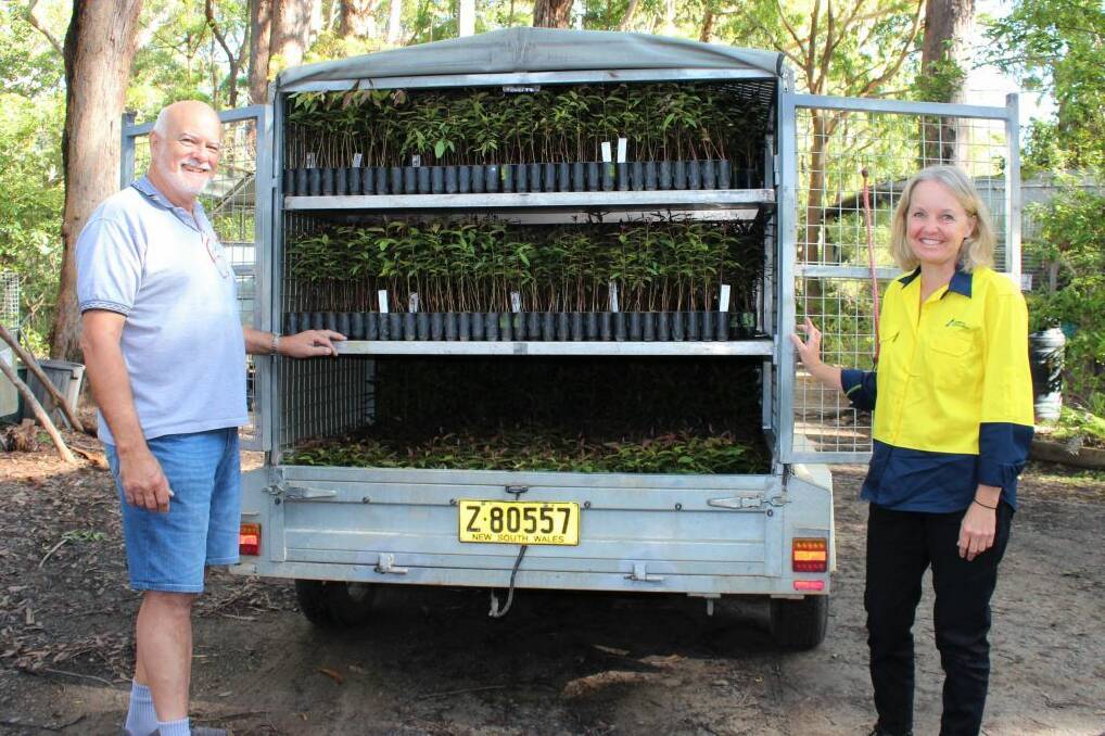 Seeds to go: Steve Withnall of Port Macquarie Koala Hospital with Jenny Sonter of Forestry Corporation.