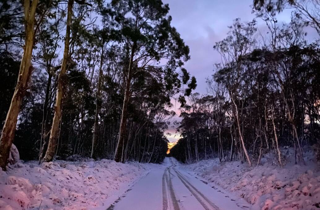 Barrington Tops earlier this month blanketed in snow. Photo: Tim Spencer.