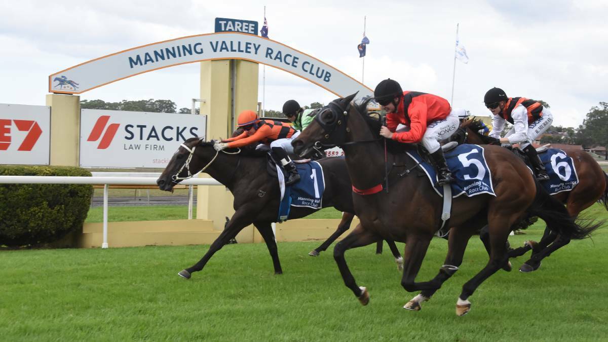 Four local gallopers to fight it out at Taree track