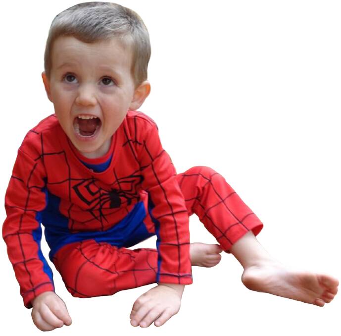 William Tyrrell was wearing a Spiderman suit when he disappeared.