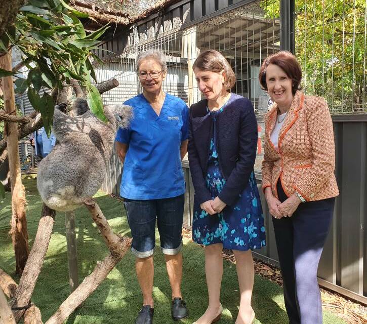 A koala named Lismore Myrtle is in the spotlight as Port Macquarie Koala Hospital clinical director Cheyne Flanagan guides NSW Premier Gladys Berejiklian and Port Macquarie MP Leslie Williams around the koala hospital.