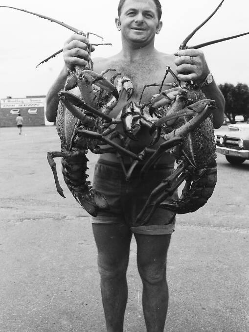 John Steep with his big lobster catch, 1969.