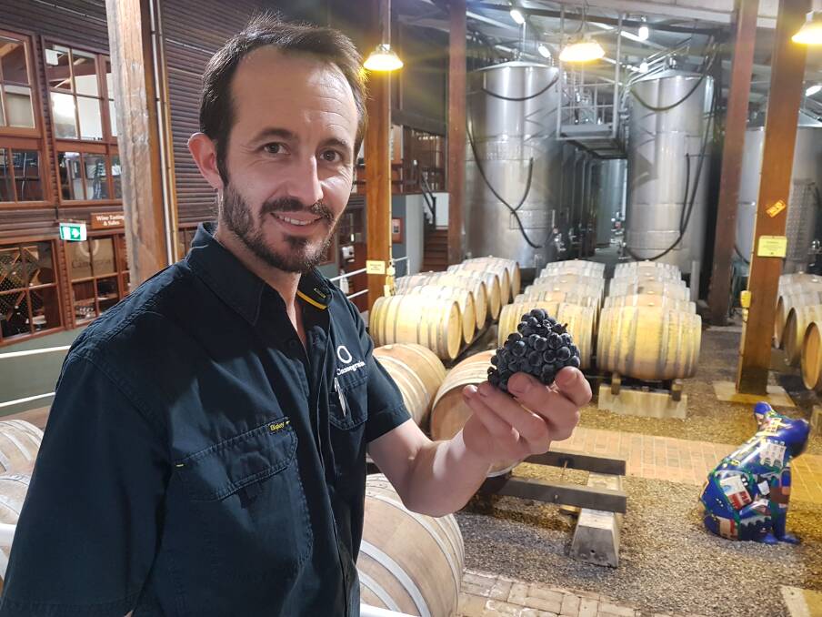 SMOKE STUDY: Cassegrain Wines senior winemaker Alex Cassegrain.