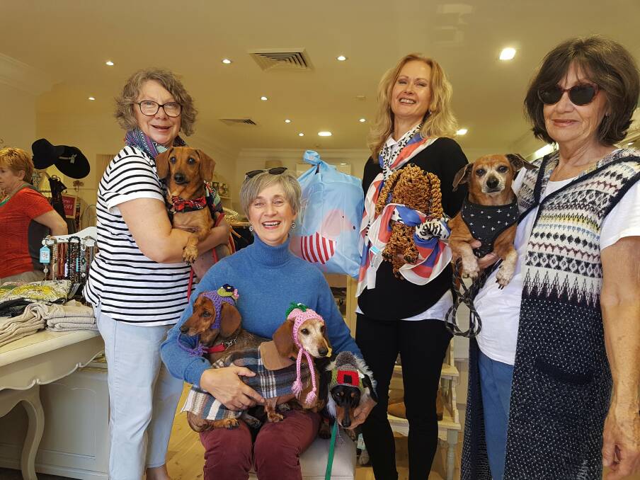 Fashionistas: Donna Read, Jean Ballands, Marina Boros and Lynette Godden with dachshunds ready for the charity fashion show.