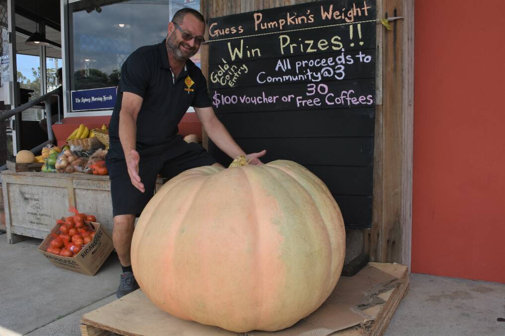 TITAN: Kew Corner Store owner Staffan Andler with the huge pumpkin.