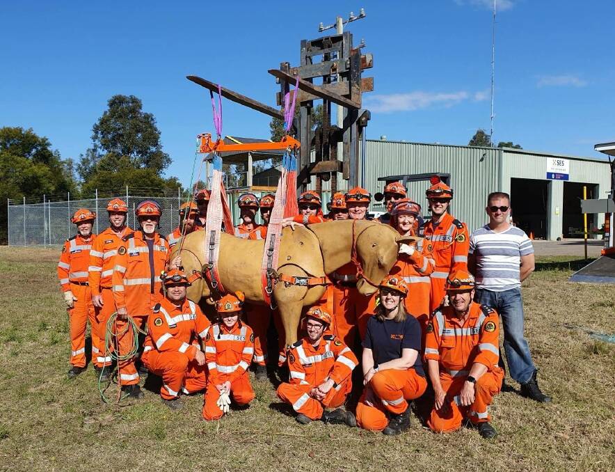 Team orange: NSW SES volunteers at large animal rescue training in Port Stephens. Photo: Supplied.