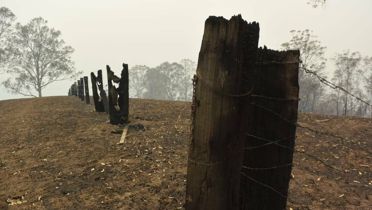 FIRE STORM: Forty contained paddocks once allowed the Porters to rotationally graze but this fire has set that advancement well back. Photo: The Land/Jamie Brown.