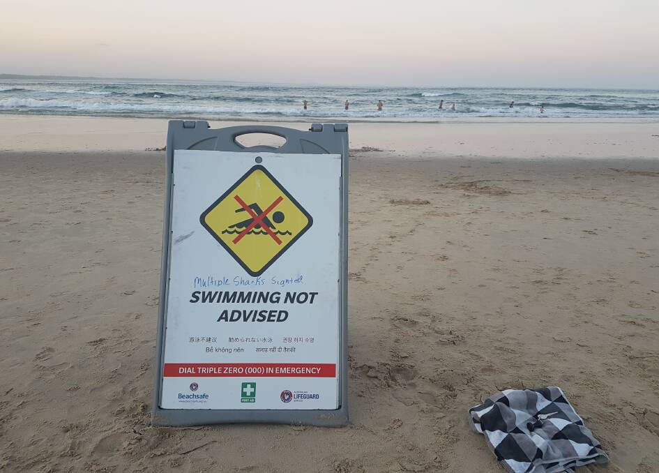 Town beach: Avoid fish activity at dawn and dusk, according to local lifeguards.