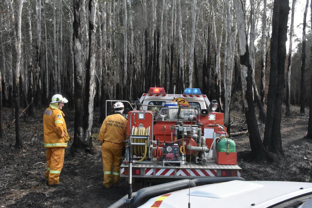 GRAY OUT: North Shore volunteers in an area burnt near Port Macquarie Airport.