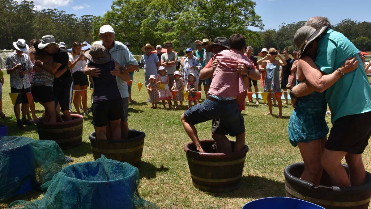 EVENT POSTPONED: Bago Grape Stomp Championships will not return until next year, due to heavy rains and a shortage grapes.