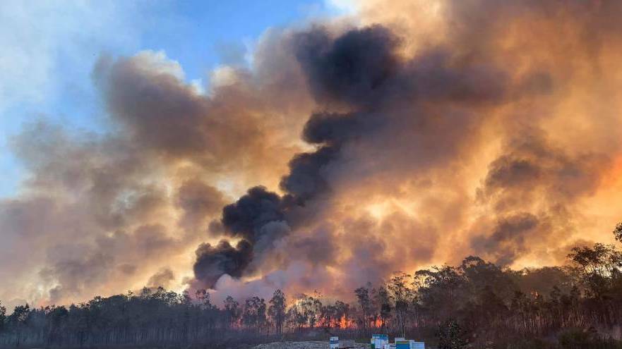 DRY CONDITIONS: Lindfield Park Road bushfire in Port Macquarie is fueled by dry underground peat.