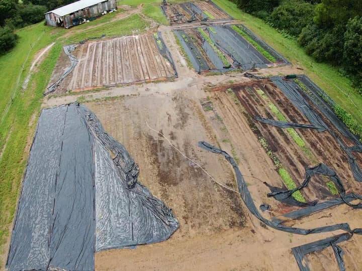 DESTRUCTION: Produce slammed by flooding in March. Photo: Sohip Farm.