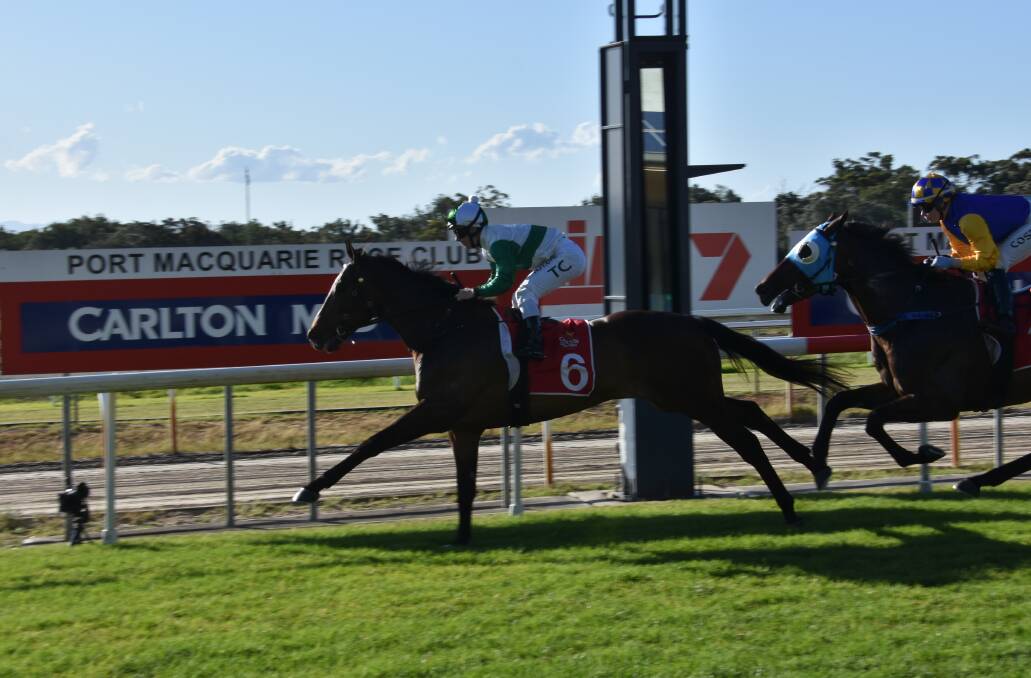 ON TRACK TO MELBOURNE CUP: Port Macquarie Cup winner Entente leading during the race.