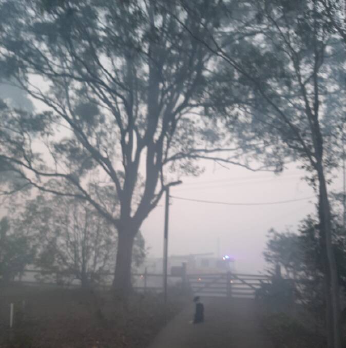 THICK AS PEA SOUP: Smoke gathering on Lindfield Park Road. Photo: Supplied.