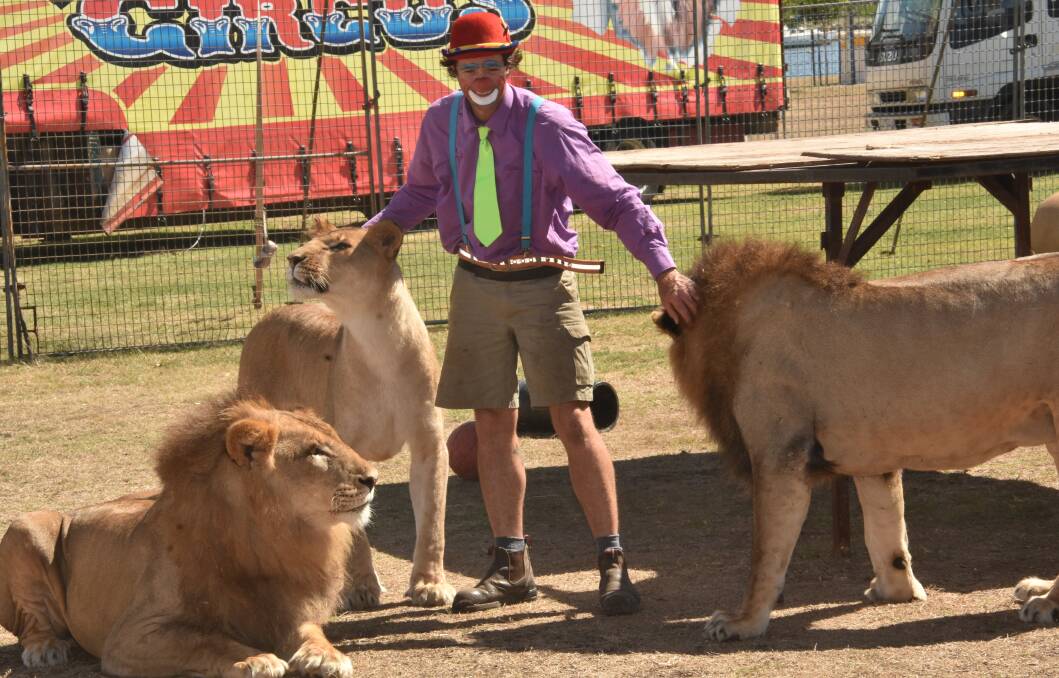 Travelling with animals: Matthew "Huckleberry" Ezekial with African lions.
