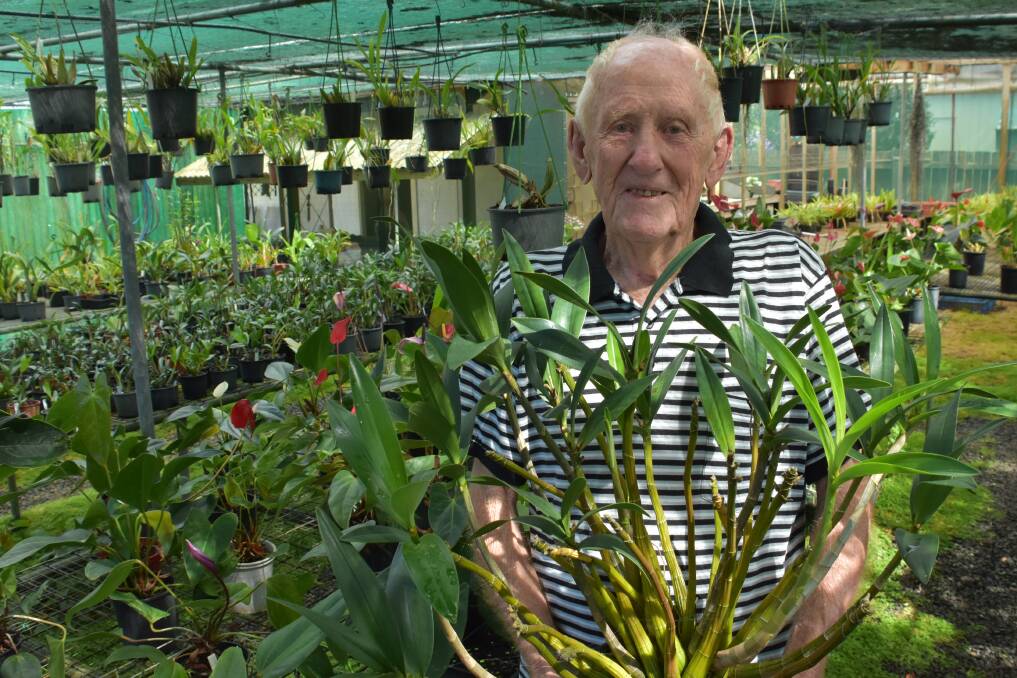 A FIRM FAVOURITE: Camden Haven Orchid Society committee member Allan Wallace with a favourite native orchid.