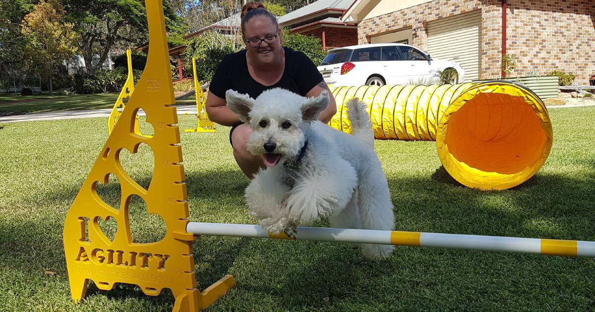 Port Macquarie dog, Benji takes out fourth at Sydney Royal Dog Show ...