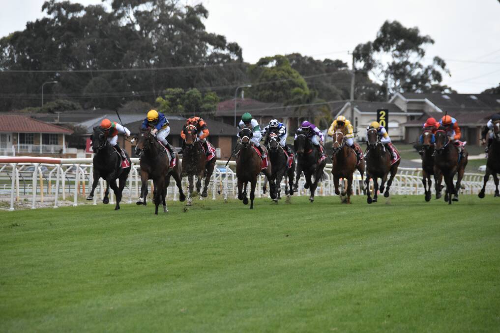 CHARGE ON: Rapido Chaparro leading the pack in the home straight of the Port Macquarie Cup.