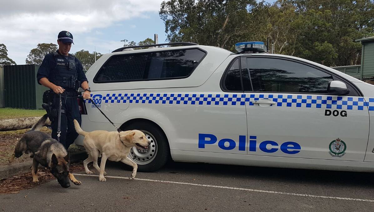 Out of the van: Senior constable Matthew Gates with Yankee and Bear.