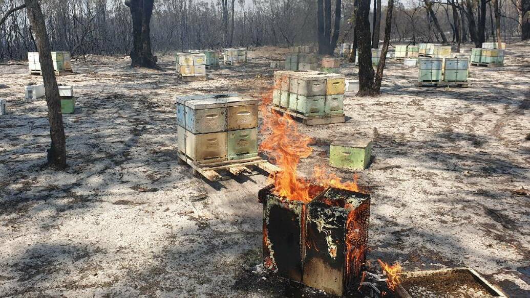 Devastation: Over 80 of Mr Brenton's bee hives were destroyed in the bushfire crisis of 2019/2020. Photo: Supplied.
