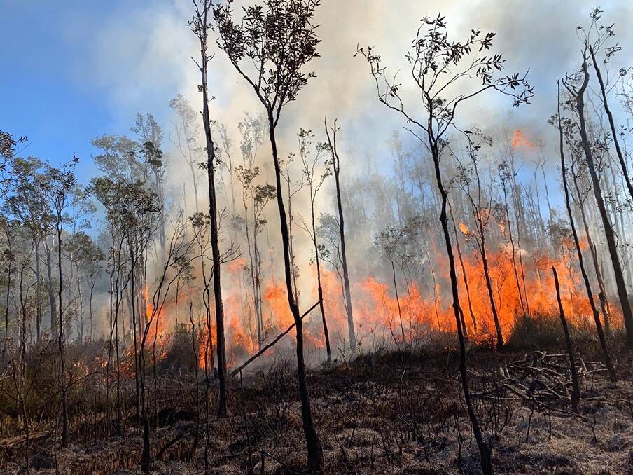 Port Macquarie bush fire on Thursday, July 18.