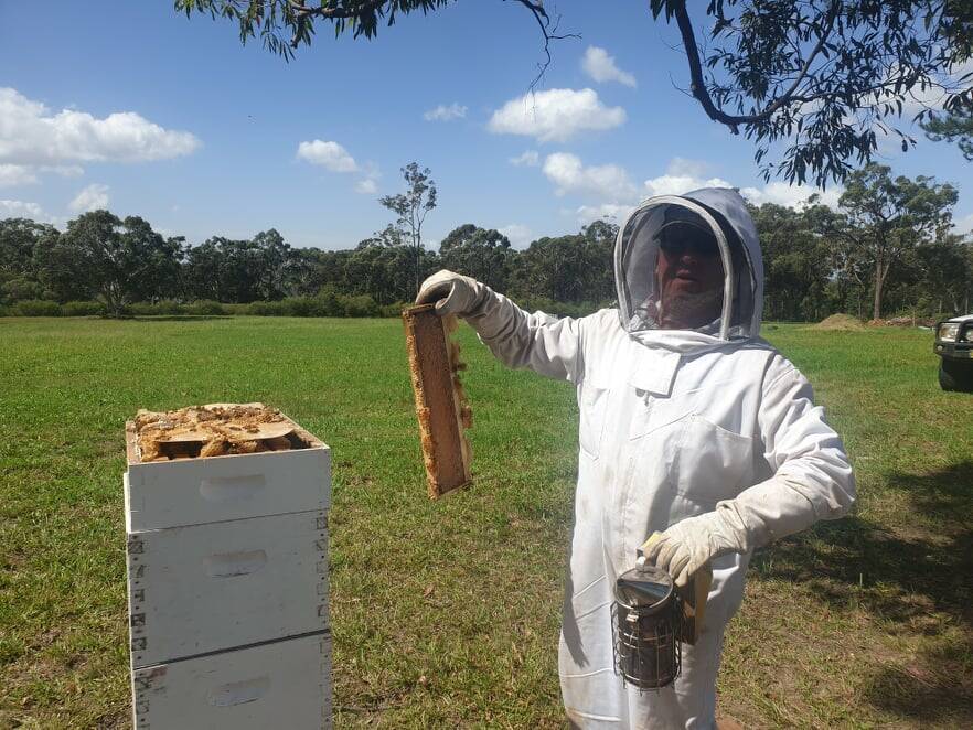 SWARM MUSTERER: 59-year-old bee catcher Paul Smedley. Photo: Supplied.