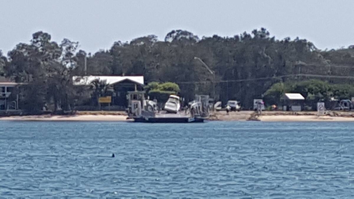 Beached: The Settlement Point Ferry in Port Macquarie stopped this morning after a traffic incident.
