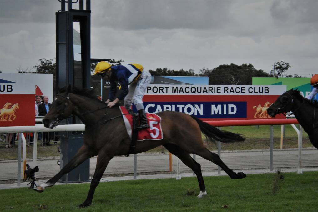 START TO FINISH: Rapido Chaparro storms away for a comprehensive victory in the Port Macquarie Cup.