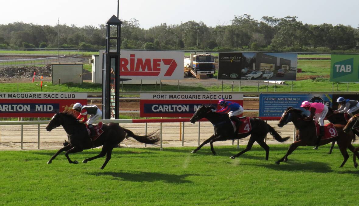 CHAMPION RACER: Bellastar wins Queen of the North at Port Macquarie on January 24.