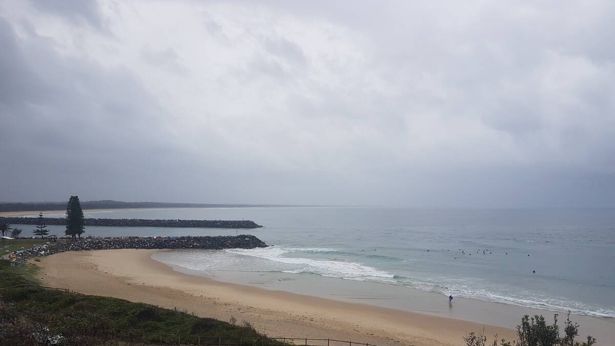 Town Beach: Whales are starting to arrive and the surf is looking superb, according to local lifeguards.