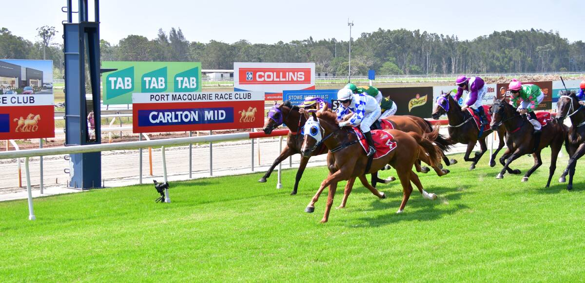 TIGHT FINISH: The John Sprague-trained Chamisal, ridden by Robert Thompson, claims the fourth race at the Port Macquarie Race Club's January 10 meeting. Da Power was second with Triple Choice running a close third. Photo: Peter Daniels