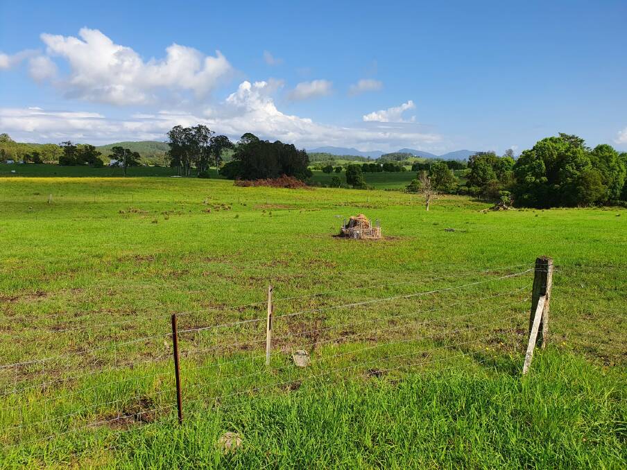 RECOVERING: Pasture recovering with rain in Rollands Plains. Photo: Supplied.