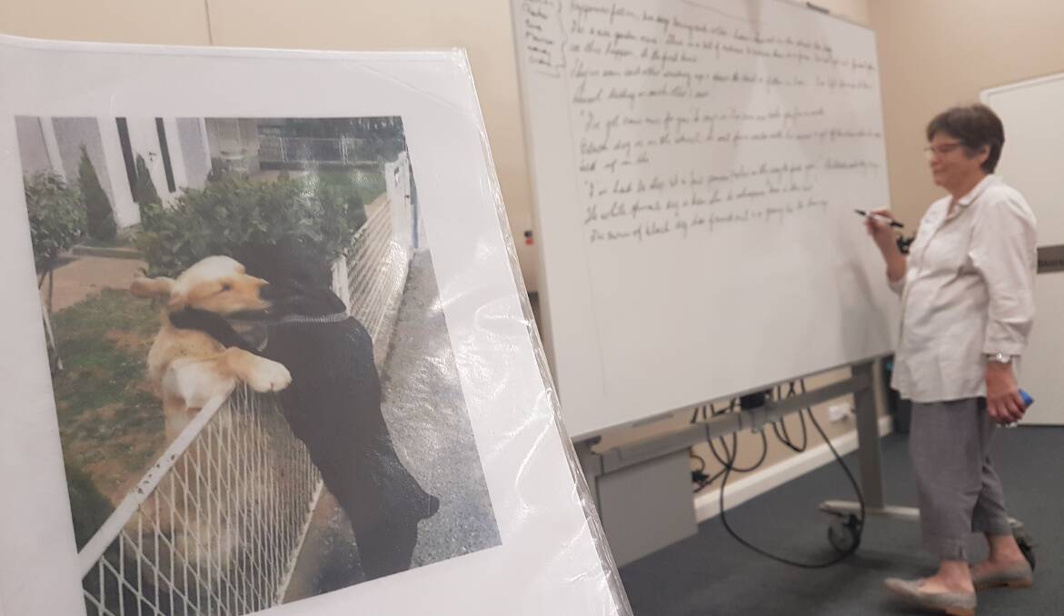 Two dogs meet: Volunteer scribe Glennis Slack-Smith wrote down the group's thoughts to create the engaging story.