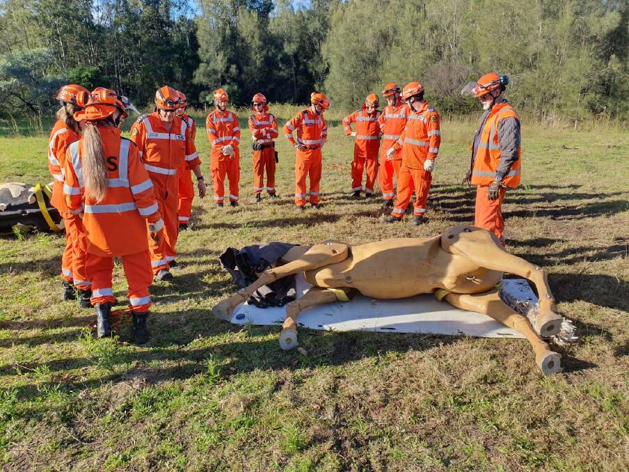 Moving the horse: Port Macquarie and Port Stephens SES volunteers gather for the large animal rescue course. Photo: Supplied.