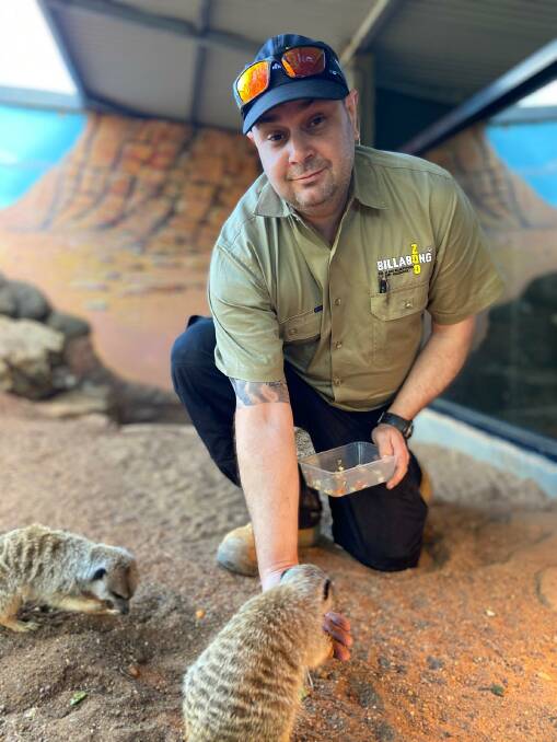 BIG CAREER CHANGE: Kendall resident Brian Rowe feeding meerkats at Billabong Zoo. Photo: Supplied.