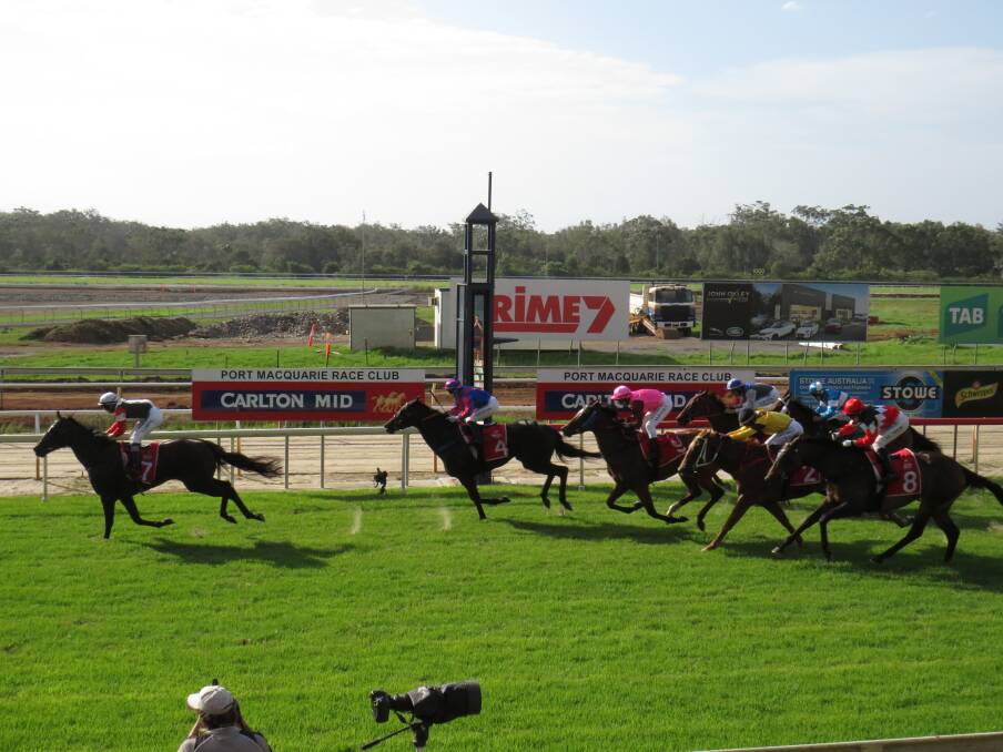 FIRST PAST THE POST: Bellastar wins Queen of the North at Port Macquarie on January 24.