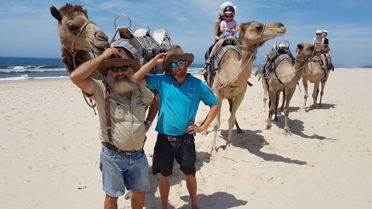 Trot on: Port Macquarie Camel Safaris' owners John Hardy and Michael Doust as they take visiting tourists for a stroll along Lighthouse Beach