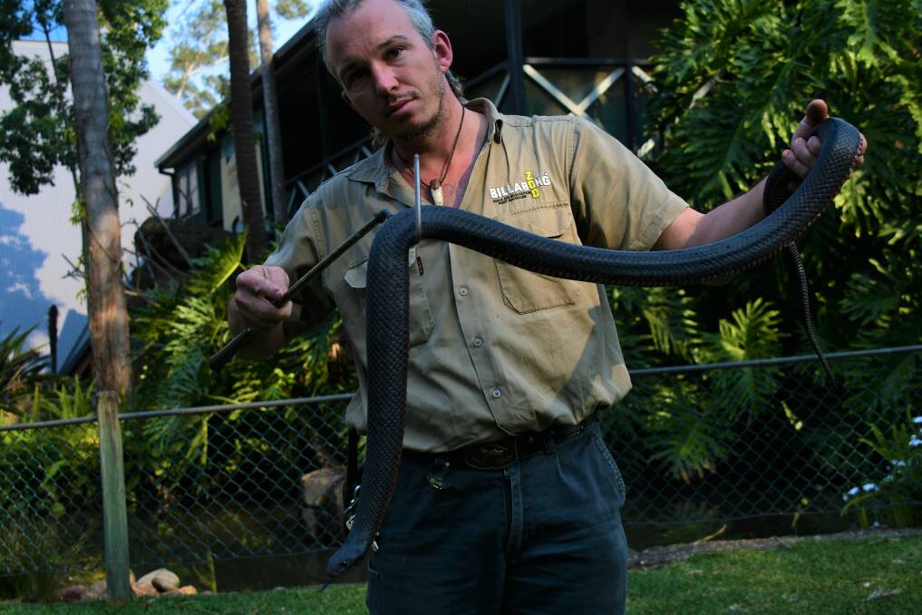 SMOOTH SCALED: Billabong Zoo head of reptiles Stuart Johnston with a red-bellied black snake.