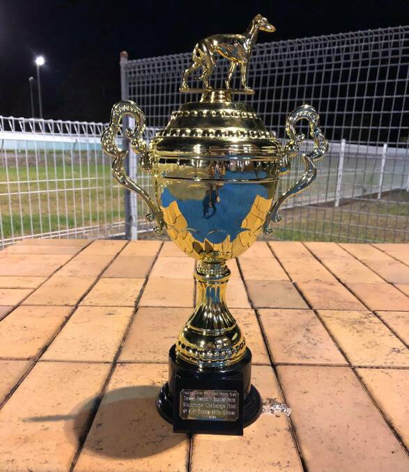 SPARKLING: The Tweed Heads Border Park Wauchope Challenge trophy won by Skilled. Photo: Supplied/Hastings River Greyhound Racing Club.