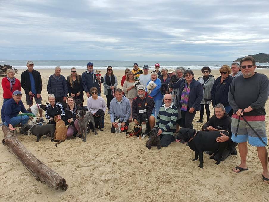 CONCERNED RESIDENTS: A gathering of dog-owners at Washhouse Beach late last month.