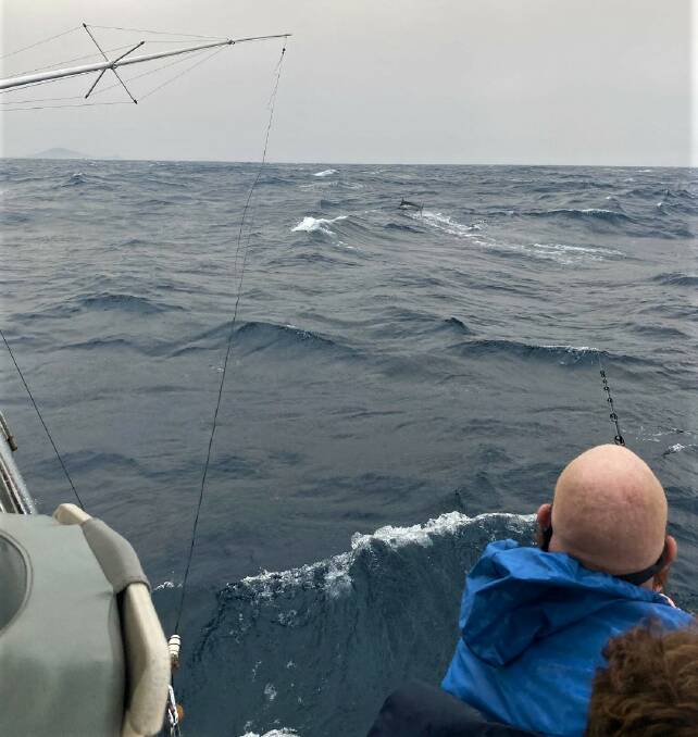 WHAT A RUSH: A marlin jumps from the water after being hooked by fisherman Michael O'Brien during the Golden Lure. Photo: Supplied/Michael O'Brien.