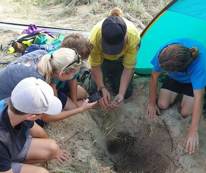 NEST DISCOVERY: Ranger Shaun Kerrigan and TurtleWatch volunteers at a turtle nest .Photo: NSW TurtleWatch