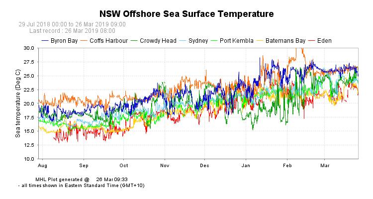 Warm weather: Port Macquarie is averaging sea surface temperatures about 25 to 26 degrees, 1 or two degrees warmer than normal for this time of year. Supplied: Bureau of Meteorology.