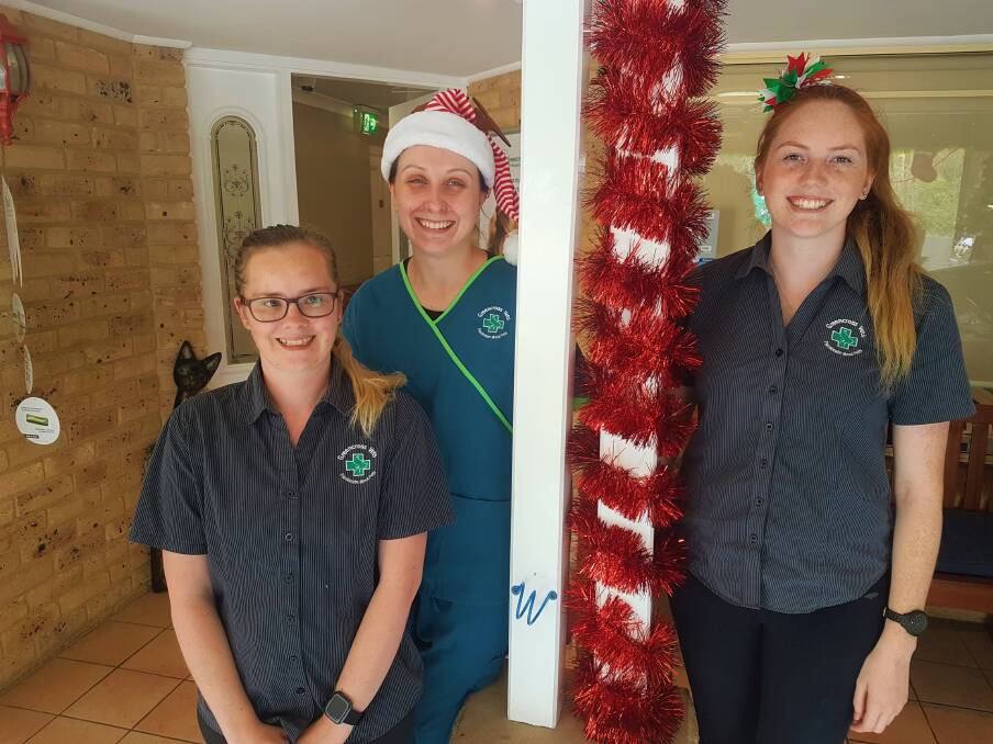 FESTIVE SEASON: Greencross Vets Port Macquarie staff Tammy Kelly, Gemma Rheinberger and Jessica Donohoe.