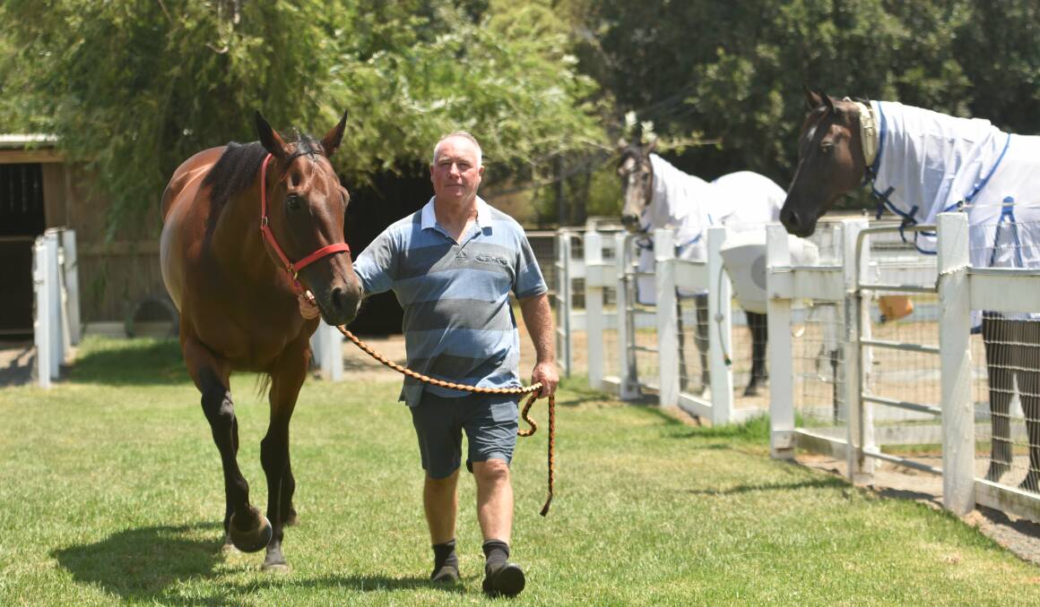 ON THE RIGHT TRACK: John Sprague has trained Port gelding Chamisal (not pictured), which continues to the $150,000 heat of the Country Championships at Taree on February 23.