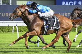 Redstone Well is tipped to win Race 5, the Yarraman Park Handicap over 2000m at Randwick. Picture Bradley Photos
